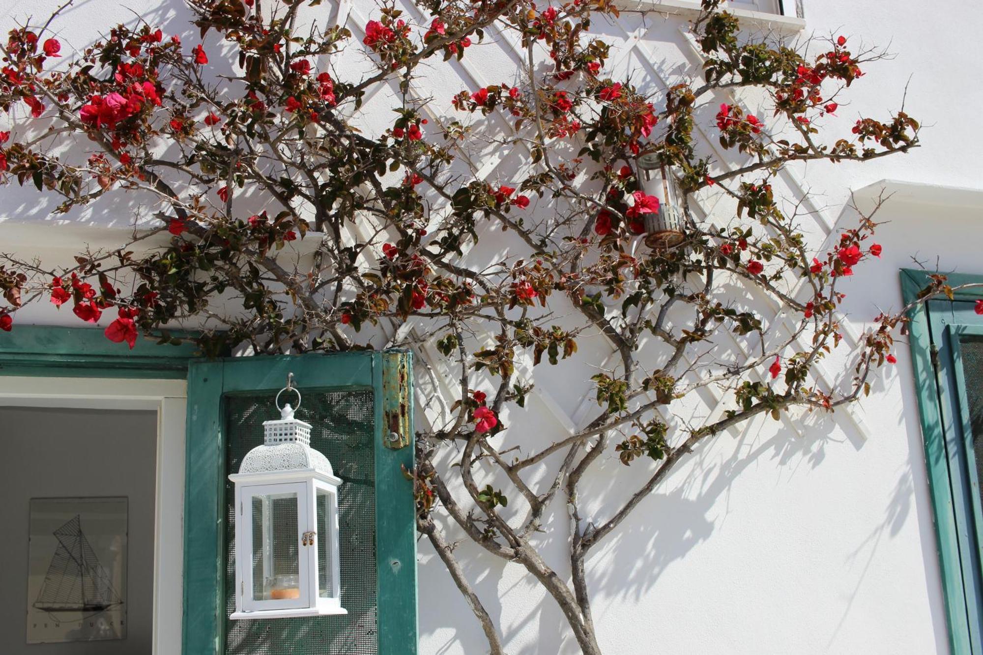 Apartmán La Mansarda Sul Porto Ponza Exteriér fotografie